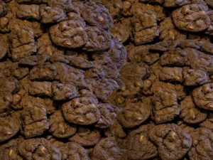 mound of Mayoff Day cookies